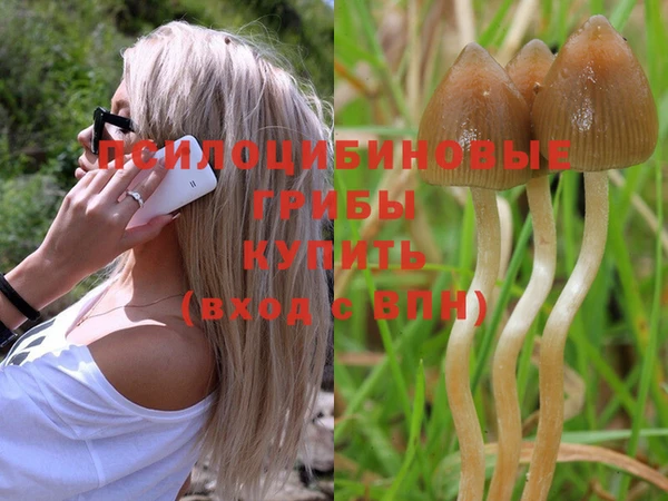 герыч Бронницы
