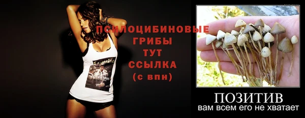 прущие крисы Бугульма