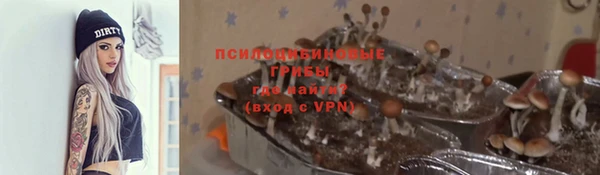 кокс Бородино