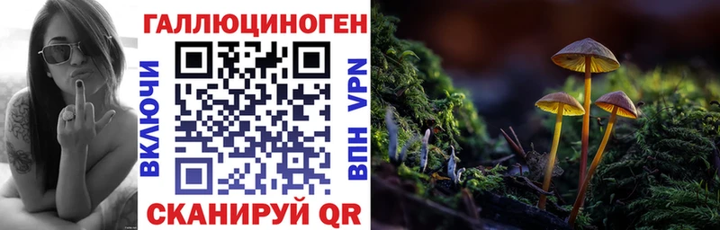 Псилоцибиновые грибы ЛСД  blacksprut онион  Октябрьский 